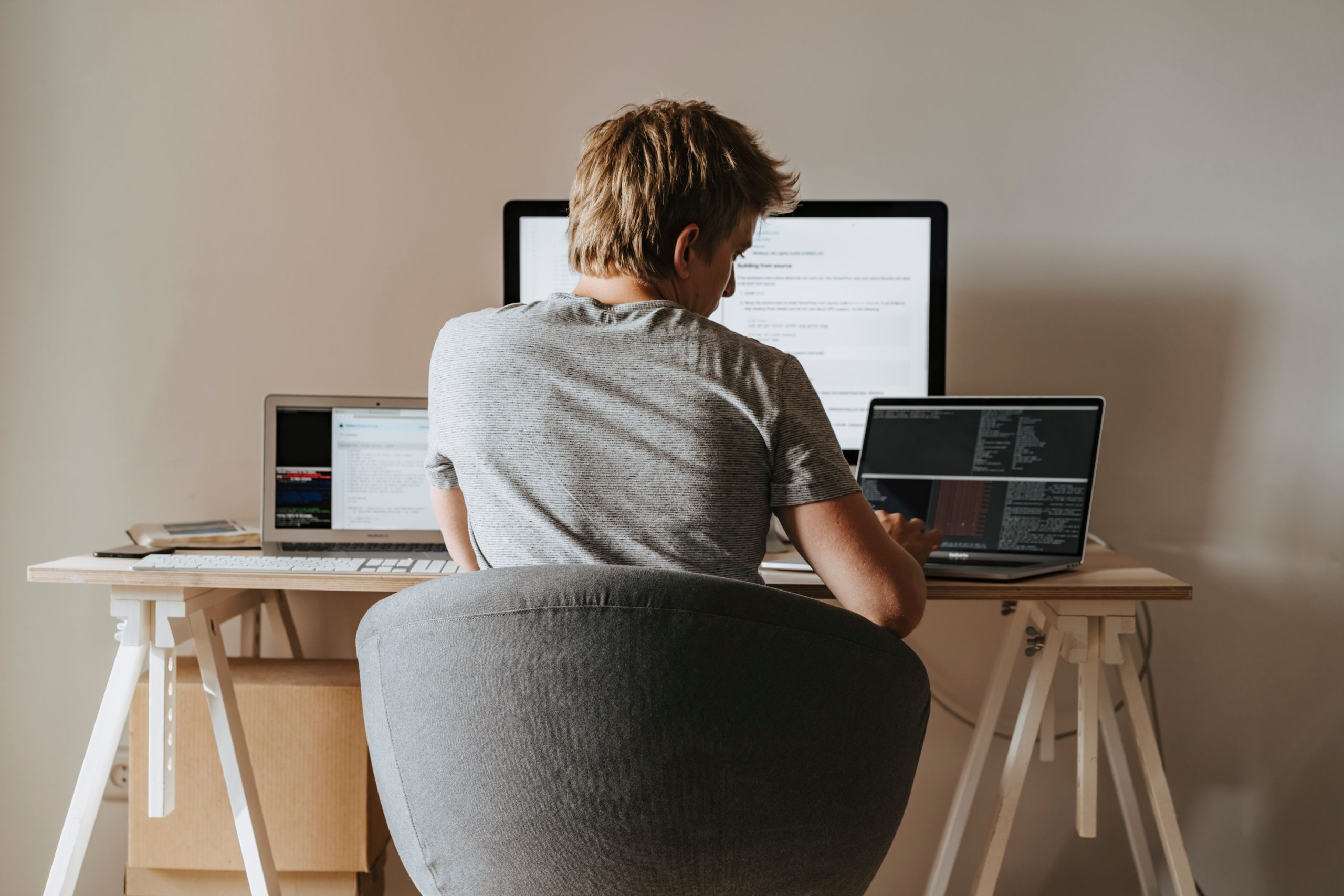 Business professional working with Zen Web Services